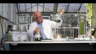 Duurzaamheid in Haarlemmermeer  Algen Algae innovations [upl. by Lahcsap145]