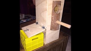 Building a lorikeet nesting box [upl. by Mairym173]