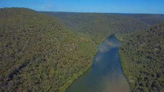 Berowra Heights  Berowra Valley National Park  Barnetts Lookout  NSW [upl. by Alejo]