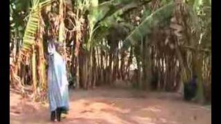 Danse traditionnelle du Nord Bénin [upl. by Loats]