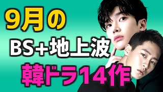 【BS放送予定スケジュール】2022年9月に開始する韓国ドラマ14作【無料 日本のテレビ あらすじ】 [upl. by Attwood656]