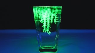 Water Balz mit leuchtendem Wasser  UV Licht Experiment [upl. by Phebe313]