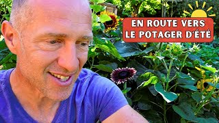 Fin juin au potager  Enfin lété après ce printemps pourri [upl. by Currey]