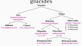 structure et propriétés des glucides biochimie [upl. by Hubble]