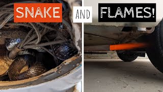 EXHAUST FLAMES AND SECOND SNAKE Our Biggest Scare and Shock at our Antique RV [upl. by Baggett]