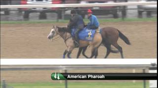 American Pharoah workout Churchill 6 1 15 [upl. by Tutt]