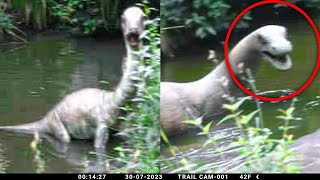 Animals Believed To Be Extinct Caught Alive On Camera [upl. by Ahsinat]