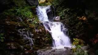 40 Waterfalls Relaxing Scenes with Cool Mountain Forest River HD waterfall in 1080p [upl. by Ultun]