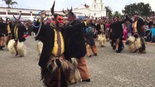 Danza De Los Diablos De Tecomaxtlahuaca Organization [upl. by Giffard]