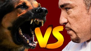 Cesar Millan vs Aggressive Dogs Compilation Video [upl. by Jane]