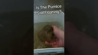 Pumice Floatation Experiment Update crystals gems science rocks geology [upl. by Raynard]