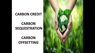 What is Carbon Credit Carbon offsetting Carbon Sequestration etc ALL IN ONE [upl. by Rollin]