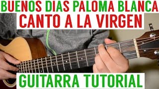 Buenos Dias Paloma Blanca  Tutorial de Guitarra  Canto Para La Virgen  Para Principiantes [upl. by Georgette122]