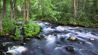 3 Hours of White Noise Bruit Blanc Relaxing and Soothing River Sound for Sleep and Concentration [upl. by Reinke]