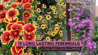 19 Long Lasting Perennials That Keep on Blooming [upl. by Katheryn]