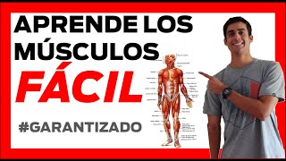 💪 MUSCULOS del CUERPO HUMANO anatomia ❗❗ FÁCIL Musculos de la pierna [upl. by Ojok]