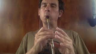 Waxies Dargle  Tin Whistle [upl. by Krik528]