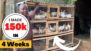 How I Made N150000 in 4 Weeks Raising 200 Broilers [upl. by Annayoj]