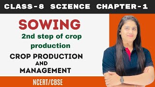 Sowing seeds class 8 science  𝐒𝐨𝐰𝐢𝐧𝐠  Methods of sowing seeds  Crop Production And Management [upl. by Ohaus]