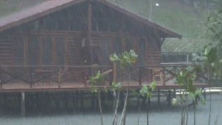 Raining heavily in the Amazon rainforest [upl. by Beeson]