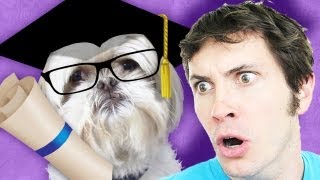 MY DOG WENT TO COLLEGE [upl. by Hootman]