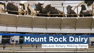 Mount Rock Dairys DeLaval Rotary Parlor [upl. by Ardnasxela]