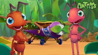 Ants ready to depart 🔴NEW EPISODE🔴 Funny Cartoons  Funny Videos for kids  ANTIKS 🐜🌿 [upl. by Corly]