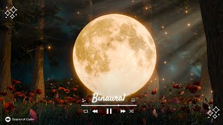 Binaural beats meditation [upl. by Attekahs]