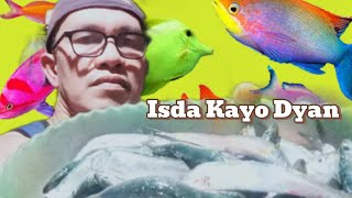 Isda Kayo Dyan  Pang ulam  JFCTV [upl. by Thinia]