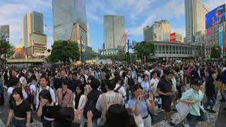 Exploring Shibuya Crossing in 360°  Walk Through Tokyos Iconic Intersection [upl. by Nosreffej10]