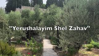 YERUSHALAYIM SHEL ZAHAV Traducción español [upl. by Nnalatsyrc]