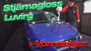 Stjärnagloss Lurvig MikrofaserWaschhandschuh im Test  Meine Pros und Cons und Vorreiniger [upl. by Sagerman615]