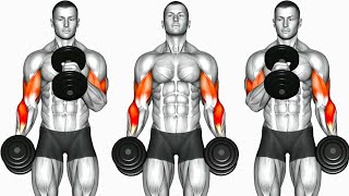 Biceps Workout 6 Best Exercises to build Strong Bicep [upl. by Furnary]