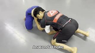 BjjNoGi Submissions From Turtle 12 [upl. by Kan]