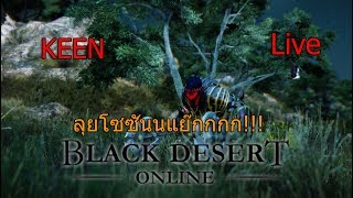 KEEN LIVE Black Desert TH ลุยโซซันนนนนน [upl. by Adnohsirk897]