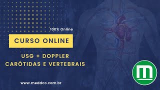 Curso Ultrassom USG  Doppler Carótidas e Vertebrais [upl. by Ayouqat]