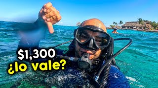 Buceo BARATO en Cozumel sin experiencia 🤿 parque Chankanaab [upl. by Peisch]