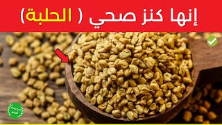 منافع الحلبة  9 فوائد مذهلة من أهم فوائد الحلبة الطبية ولهذه الأسباب ينصح بشدة بتناول الحلبة [upl. by Ophelia86]