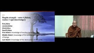 The Bodhisatta Ideal in Theravada Buddhism by Bhante Dhammapala 3rd Dec2023 at BDMS [upl. by Burnsed378]