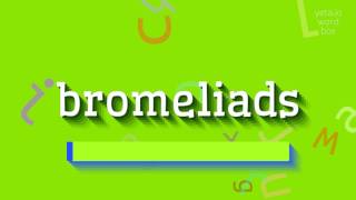 HOW TO PRONOUNCE BROMELIADS [upl. by Esirrehc]