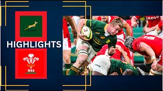 HIGHLIGHTS Springboks vs Wales  June 2024 [upl. by Tolley328]