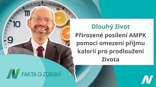 Přirozené posílení AMPK pomocí omezení příjmu kalorií pro prodloužení života  Fakta o zdraví [upl. by Nede467]