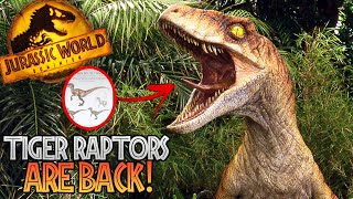 TIGER RAPTORS RETURN SPINO SIGHTED Jurassic World Dominion [upl. by Jessabell478]