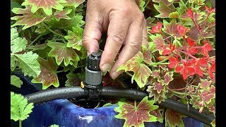 COMMENT ET POURQUOI INSTALLER UN SYSTÈME DE MICRO ARROSAGE DANS LE JARDIN OU SUR LE BALCON [upl. by John]