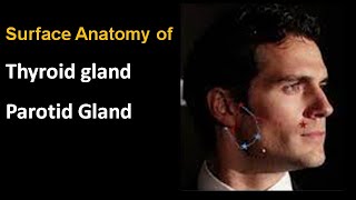 Unveiling the Intricacies of Thyroid and Parotid Gland Surface Anatomy [upl. by Amada]