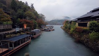 KYOTO RAIN WALK ARASHIYAMA IN AUTUMN JAPAN  4K ASMR  Binaural Rain Ambience Sounds [upl. by Waddington816]