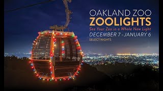 Festive Gondolas at Oakland Zoos ZooLights [upl. by Fatsug]