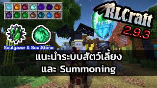 RLCraft 293 แนะนำระบบสัตว์เลี้ยง และ Summoning [upl. by Selig]