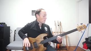 Give Up The Funk  Parliament Funkadelic Behs  Bass Cover [upl. by Nythsa745]