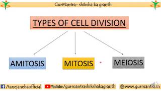 TYPES OF CELL DIVISION  AMITOSIS  MITOSIS  MEIOSIS [upl. by Tera869]